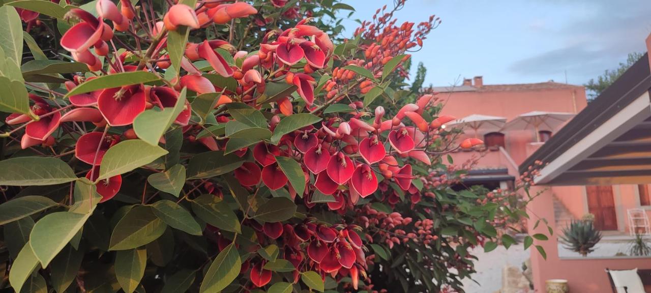 Bioagriturismo Antica Sena Milici Екстериор снимка