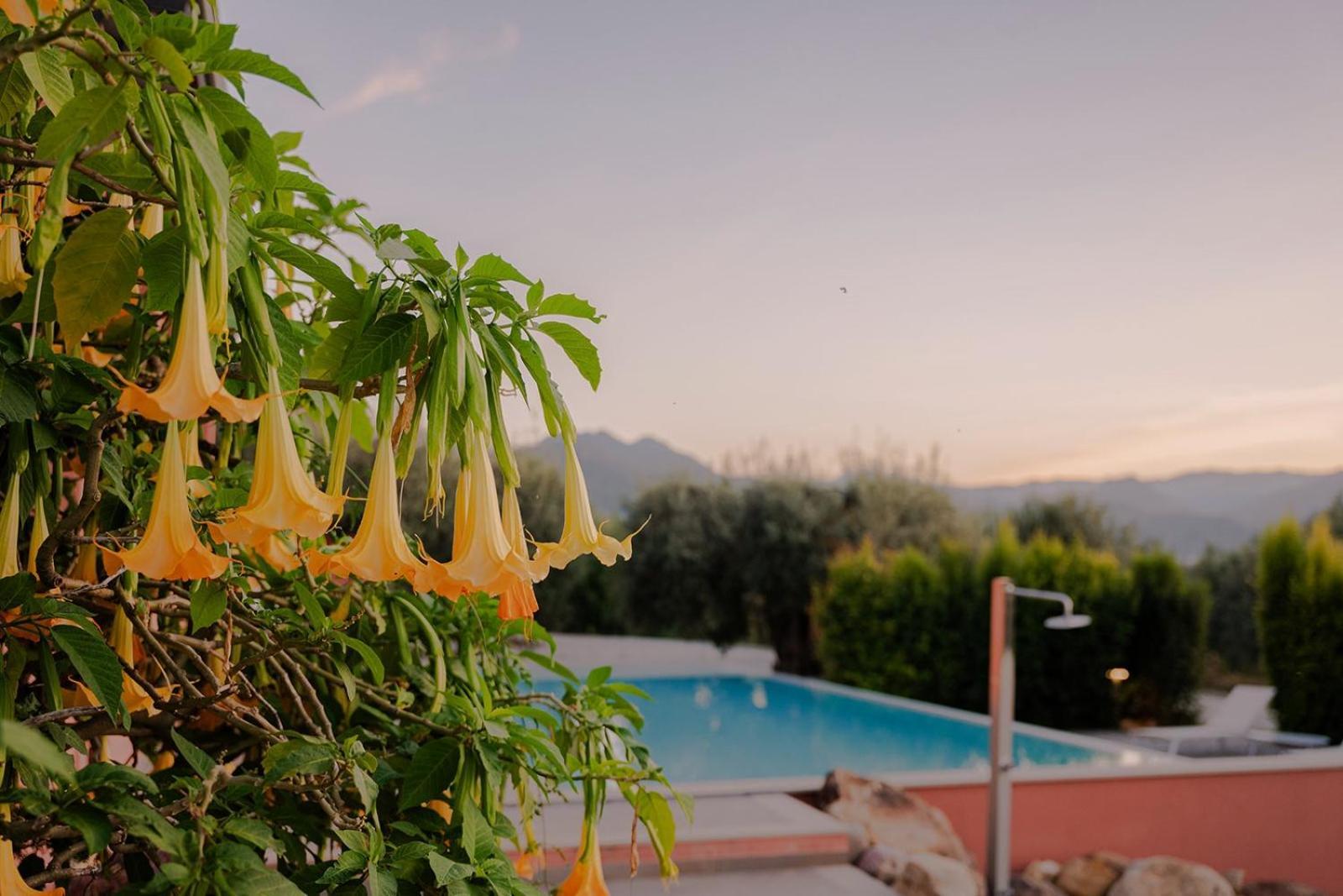 Bioagriturismo Antica Sena Milici Екстериор снимка